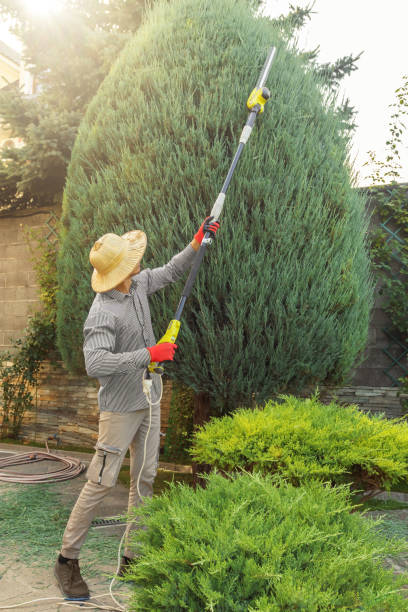 Lawn Grading and Leveling in Oxon Hill, MD